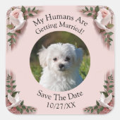 Your Pet Photo, Save The Date, Pink Roses & Doves Quadratischer Aufkleber (Vorderseite)