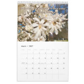 YourCreativeAkkord 2024 Colors-Kalender Kalender (Mär 2027)