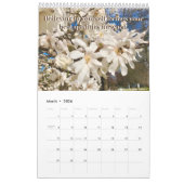 YourCreativeAkkord 2024 Colors-Kalender Kalender (Mär 2026)