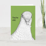 You're Old Funny Old Age Humor Birthday Card Karte<br><div class="desc">Peggy is a pigeon who has lived a long and fulfilling life. Let her deliver your birthday message for you. It's a simple message: you're old, so am I. Happy Birthday. Humorous birthday card featuring an original illustration of an old pigeon. Simply says "You're old." on the front and "Happy...</div>