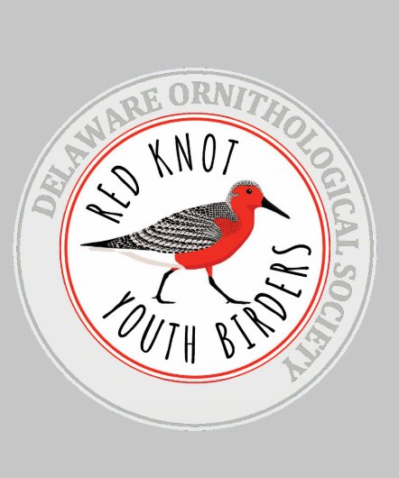 Youth Hoodie mit dem Logo "Red Knot" (Halsband)