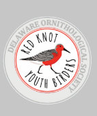 Youth Hoodie mit dem Logo "Red Knot" (Saum)