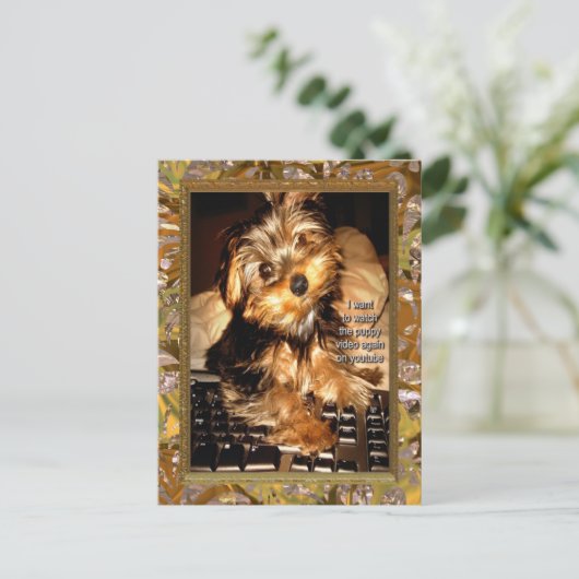 YouTube Yorkie Postkarte (Stehend Vorderseite)