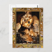 YouTube Yorkie Postkarte (Vorne/Hinten)