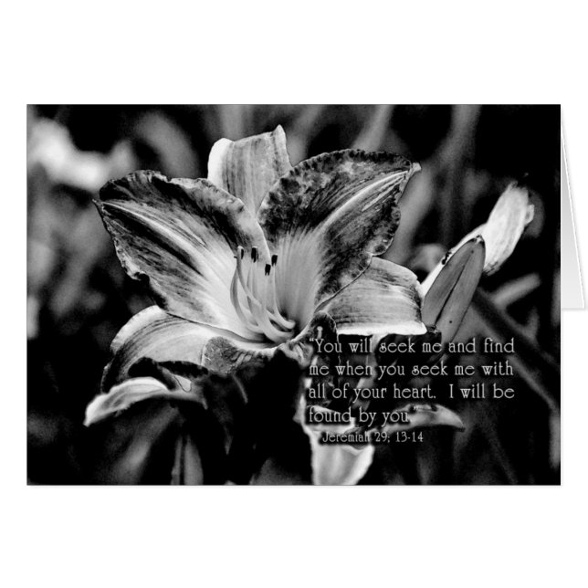 YouwillseekmeandfindmeZazzle (Vorderseite (Horizontal))