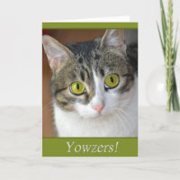 Yowzers