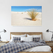 Yucca auf weißem Sand Leinwanddruck (Insitu (Schlafzimmer))