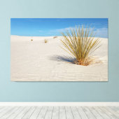 Yucca auf weißem Sand Leinwanddruck (Insitu (Holzboden))