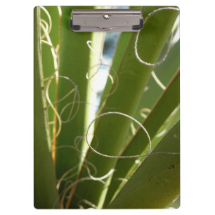 Yucca-Blätter Grüne Naturfotografie Klemmbrett