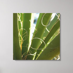 Yucca-Blätter Grüne Naturfotografie Leinwanddruck