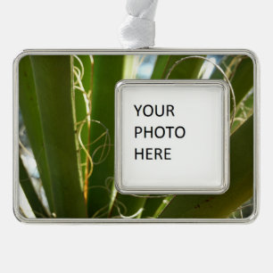 Yucca-Blätter Grüne Naturfotografie Rahmen-Ornament Silber