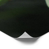 Yucca Blooms Poster (Ecke)