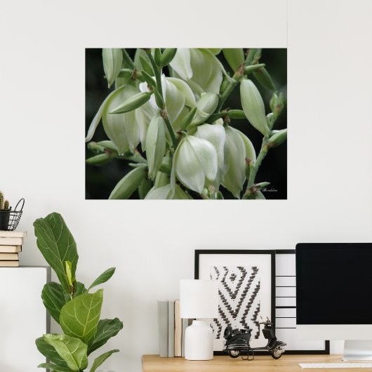 Yucca Blooms Poster (Heimbüro)