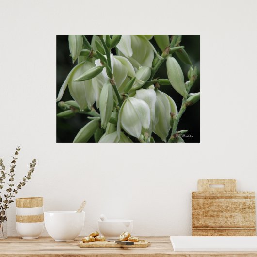 Yucca Blooms Poster (Küche)