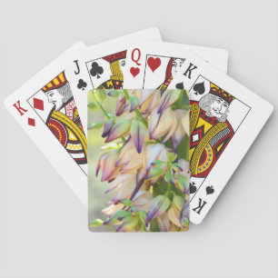 Yucca-Blume, die Karten spielen Spielkarten