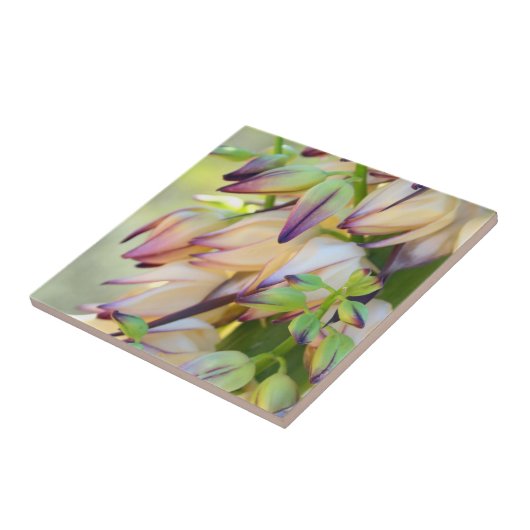 Yucca-Blume Fliese (Seite)