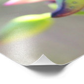 Yucca-Blume-Foto Fotodruck (Ecke)