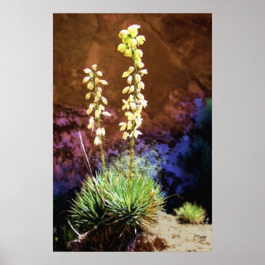 Yucca-Blume im Hauptstadt Reef Poster (Vorne)