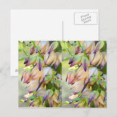 Yucca-Blume Postkarte (Vorne/Hinten)