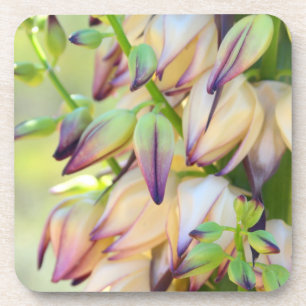 Yucca-Blume-Untersetzer Untersetzer