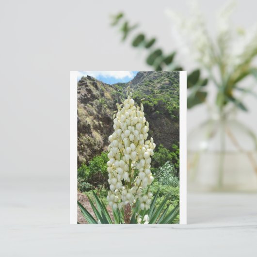 Yucca-Blumen in den Azoren Postkarte (Stehend Vorderseite)