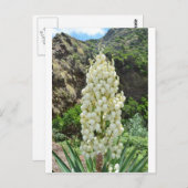 Yucca-Blumen in den Azoren Postkarte (Vorne/Hinten)