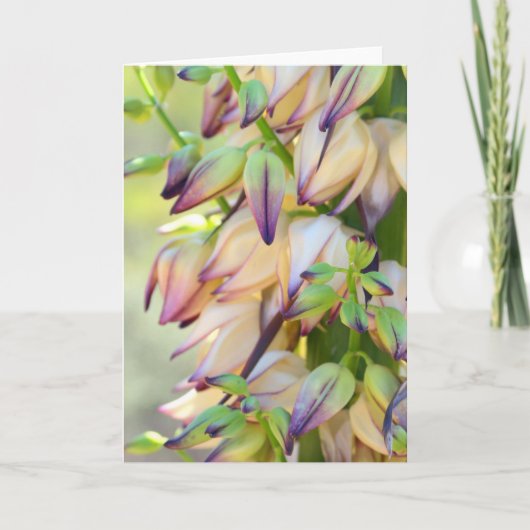 Yucca Flowers Greeting Karte (Vorderseite)