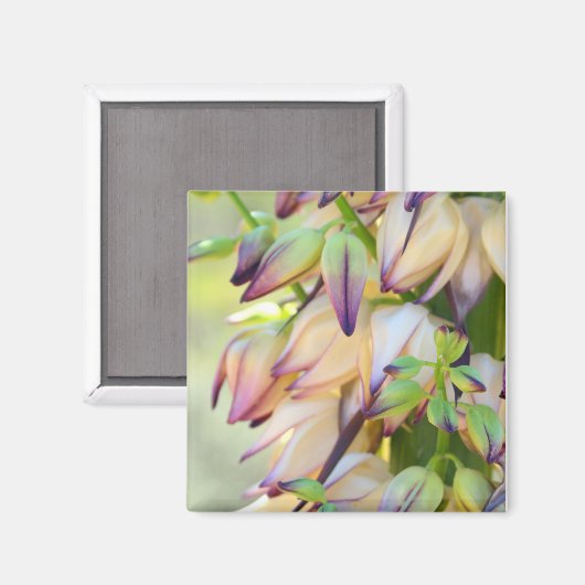 Yucca Flowers Magnet (Vorderseite/Rückseite)