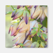 Yucca Flowers Magnet (Vorne)