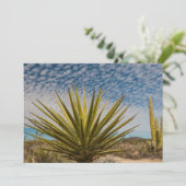 Yucca in der Wüste, Mexiko Dankeskarte (Stehend Vorderseite)