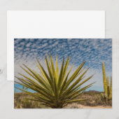 Yucca in der Wüste, Mexiko Dankeskarte (Vorne/Hinten)