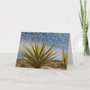 Yucca in der Wüste, Mexiko Karte