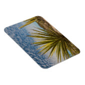 Yucca in der Wüste, Mexiko Magnet (Rechte Seite)