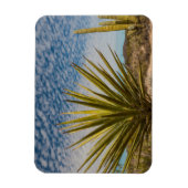 Yucca in der Wüste, Mexiko Magnet (Vertikal)