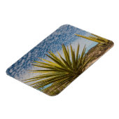 Yucca in der Wüste, Mexiko Magnet (Linke Seite)