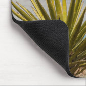 Yucca in der Wüste, Mexiko Mousepad (Ecke)