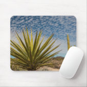 Yucca in der Wüste, Mexiko Mousepad (Mit Mouse)
