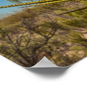 Yucca in der Wüste, Mexiko Poster (Ecke)