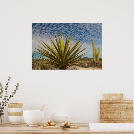 Yucca in der Wüste, Mexiko Poster (Küche)