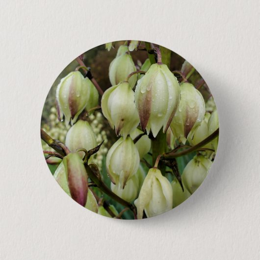 Yucca Pflanze Abzeichen Button (Vorderseite)