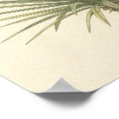 Yucca-Pflanze Botanisches Poster (Ecke)