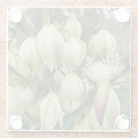 Yucca-Pflanze Glasuntersetzer (Rückseite)