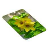 Yucca-Pflanze Magnet (Rechte Seite)