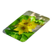 Yucca-Pflanze Magnet (Linke Seite)