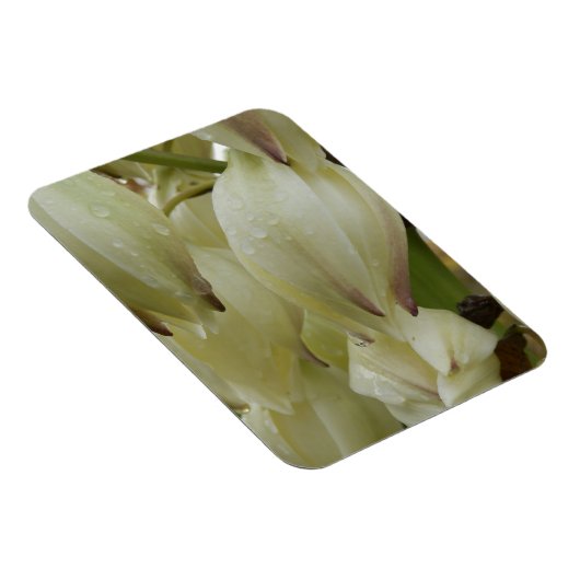 Yucca-Pflanze Magnet (Rechte Seite)