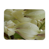 Yucca-Pflanze Magnet (Horizontal)