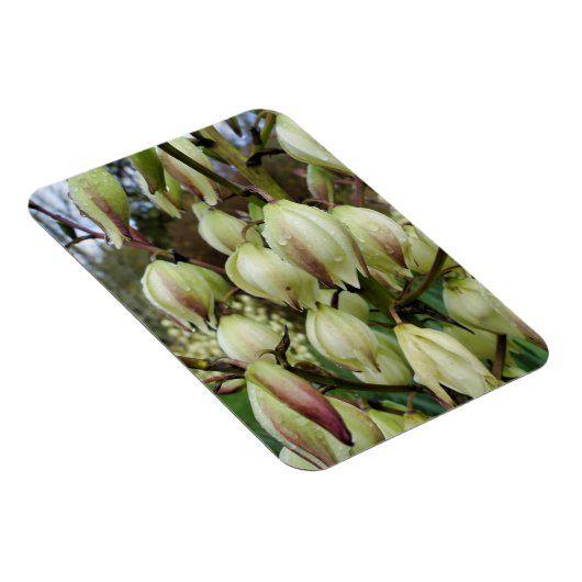 Yucca-Pflanze Magnet (Rechte Seite)