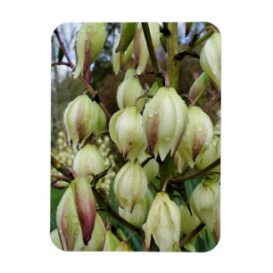 Yucca-Pflanze Magnet