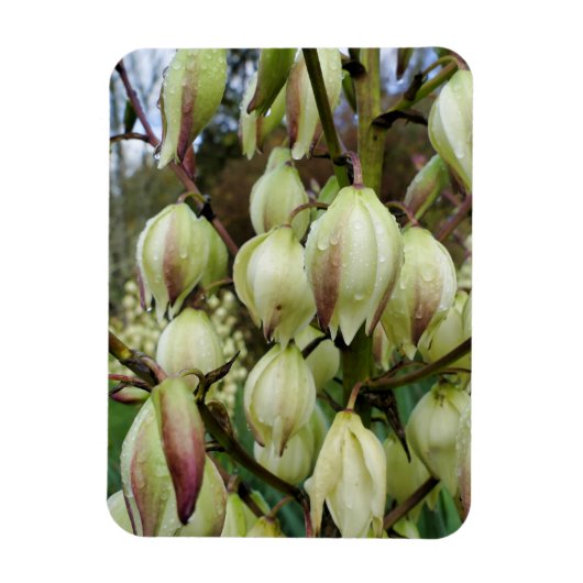 Yucca-Pflanze Magnet (Vertikal)