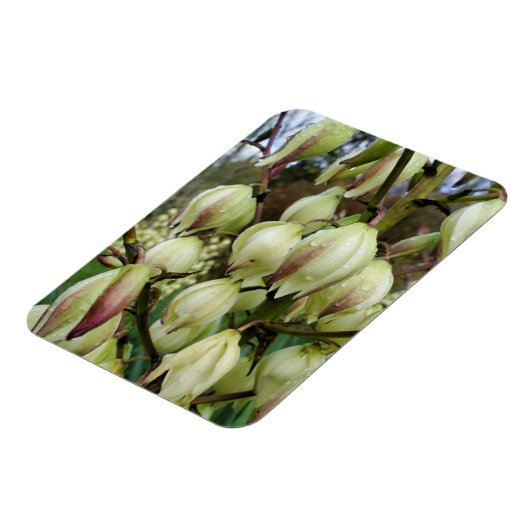 Yucca-Pflanze Magnet (Linke Seite)